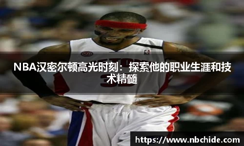 NBA汉密尔顿高光时刻：探索他的职业生涯和技术精髓